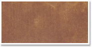 Stain Color Option 5: Vintage Umber